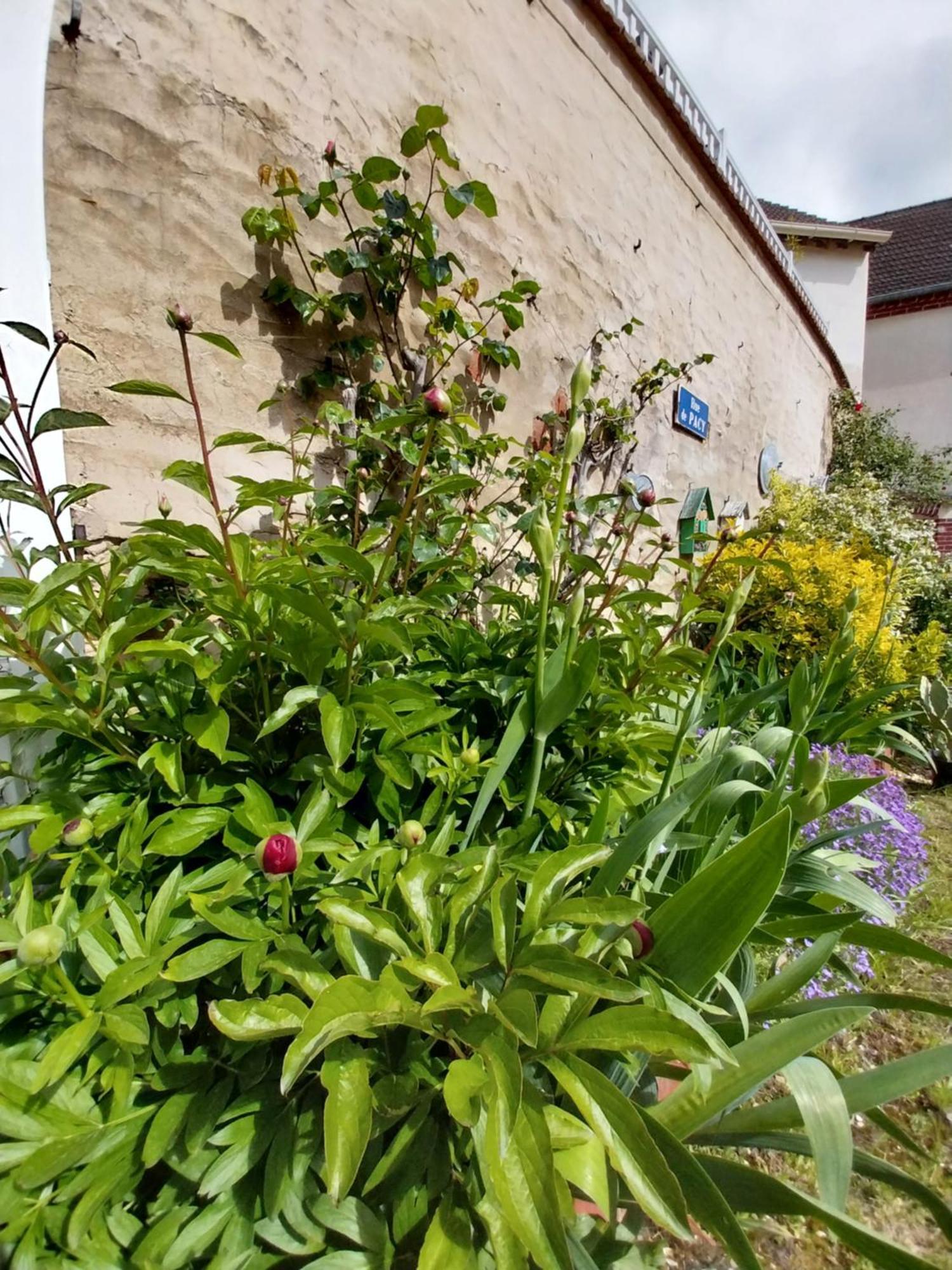 La Petite Maison Ferienhaus *